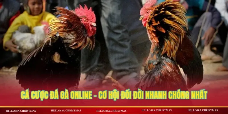 Cá cược đá gà online