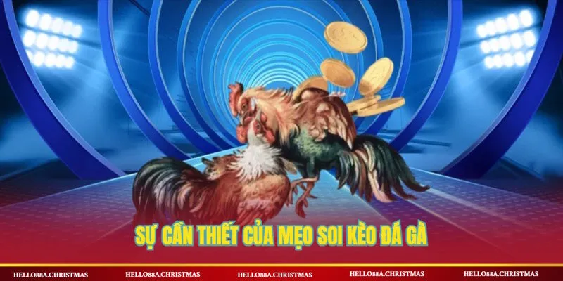 Sự cần thiết khi áp dụng mẹo soi kèo đá gà